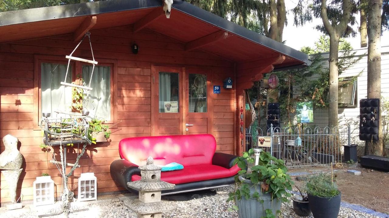 Chalet Op Een Rustig Park In De Natuur Putten Extérieur photo