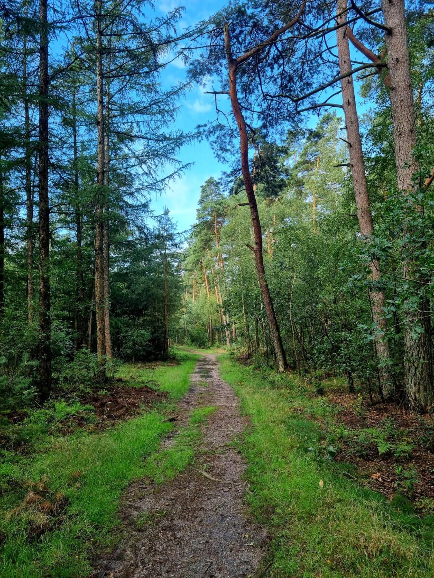 Chalet Op Een Rustig Park In De Natuur Putten Extérieur photo
