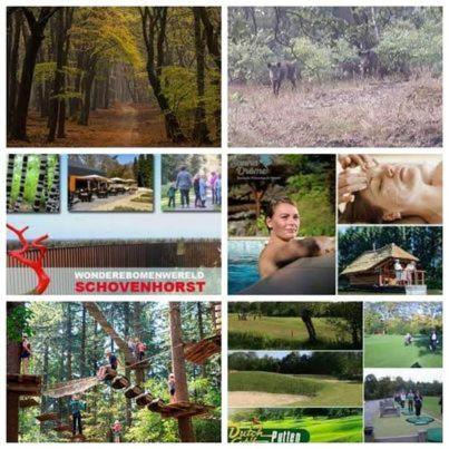 Chalet Op Een Rustig Park In De Natuur Putten Extérieur photo